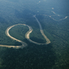 Амазонка тропикалық орманы